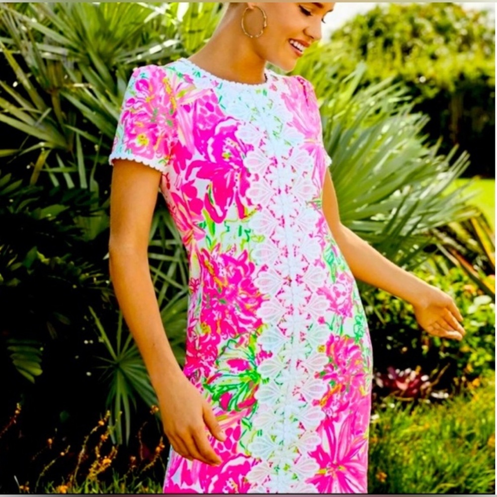 NWT Lilly Pulitzer Maisie Stretch Shift in Koala Me Maybe size 4
